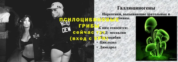 дживик Алексеевка